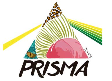 Logo Prisma